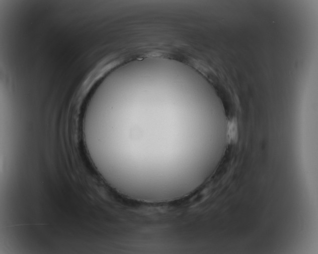X0000086040291200704131940