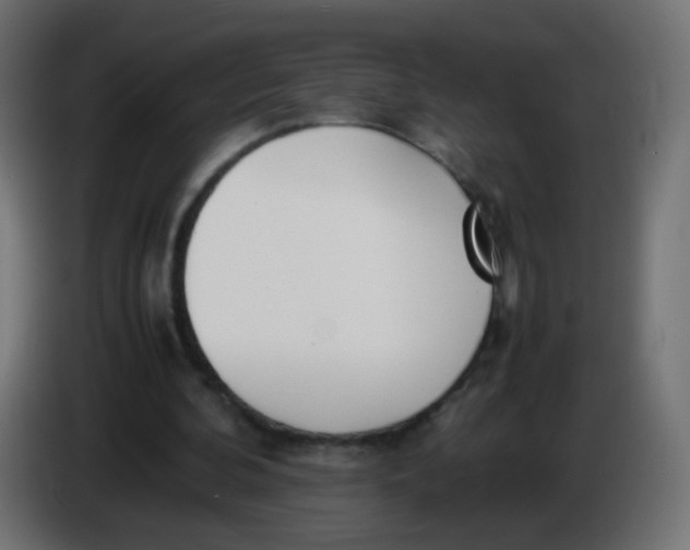 X0000086040292200704131940
