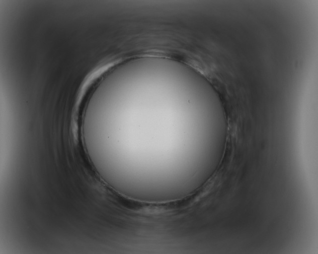 X0000086040294200704131940
