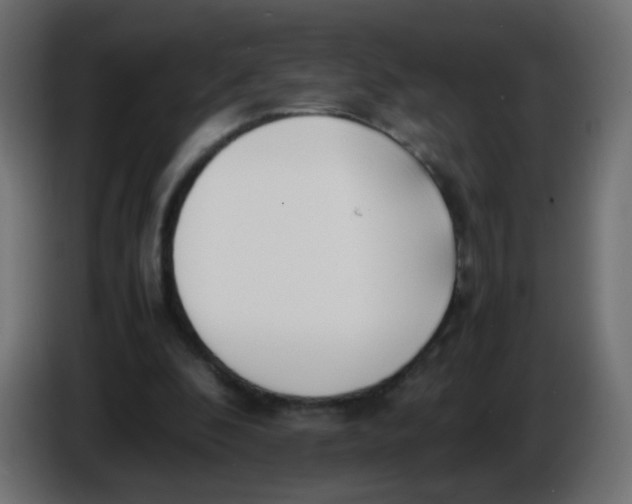 X0000086040296200704131940