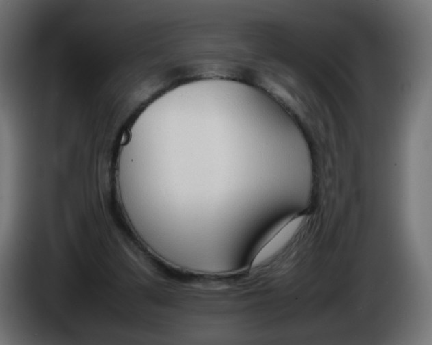 X0000086040299200704131940