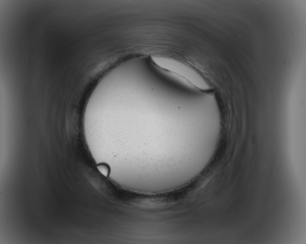 X0000086040303200704131940