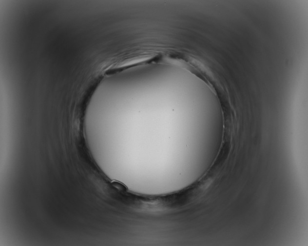 X0000086040309200704131940