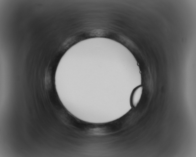 X0000086040312200704131940