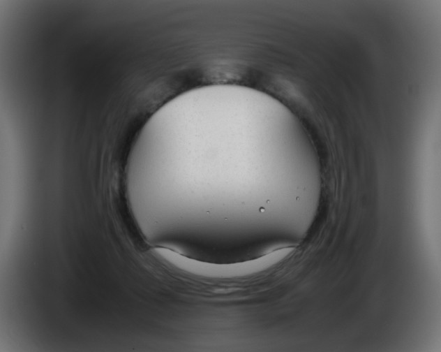 X0000086040315200704131940