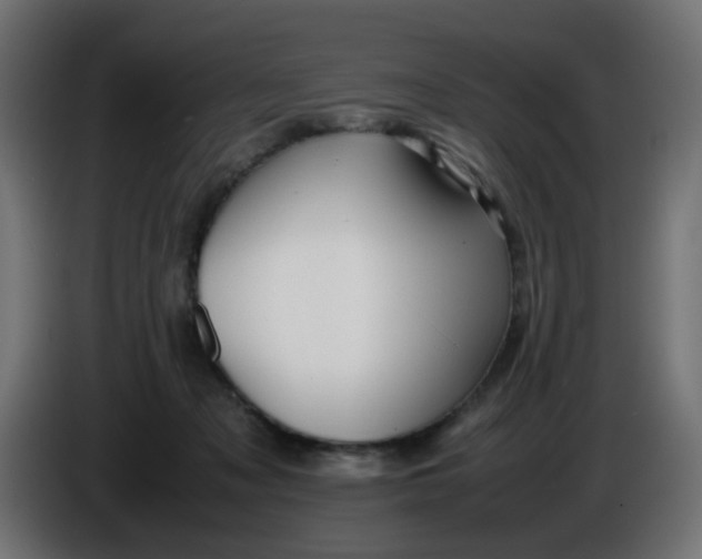 X0000086040317200704131940