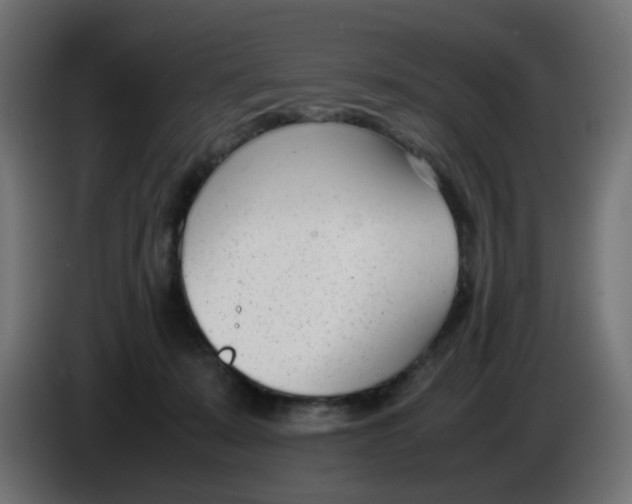 X0000086040319200704131940