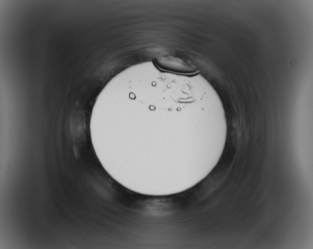 X0000086040320200704131940