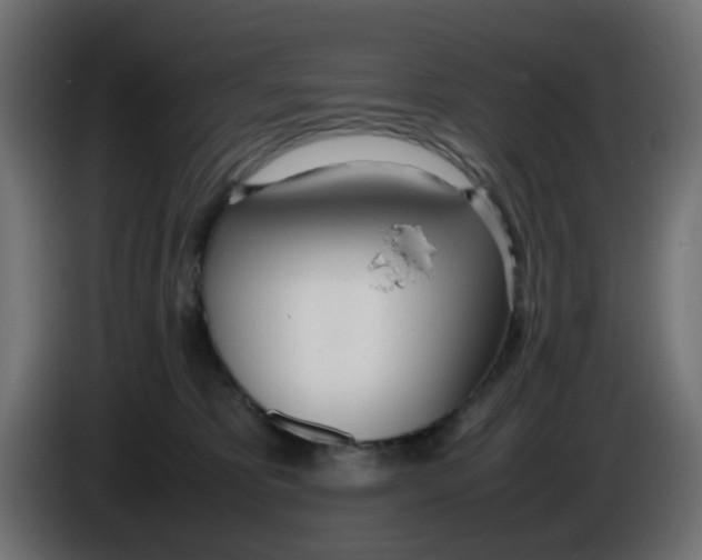 X0000086040325200704131940