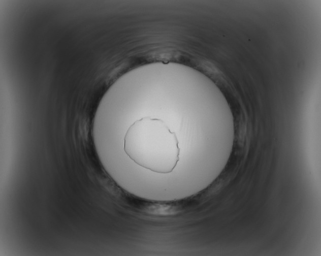 X0000086040326200704131940