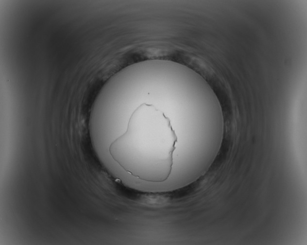 X0000086040327200704131940
