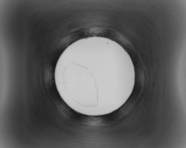 X0000086040328200704131940