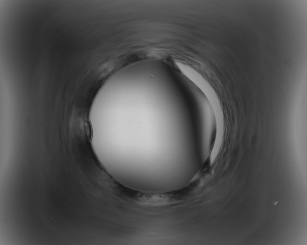 X0000086040329200704131940