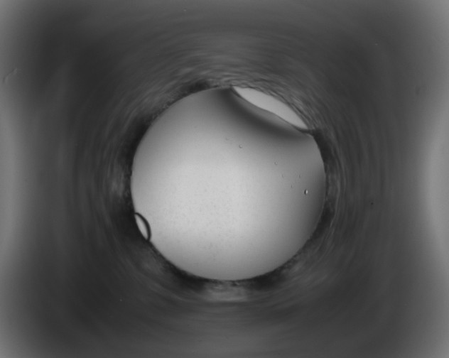 X0000086040331200704131940
