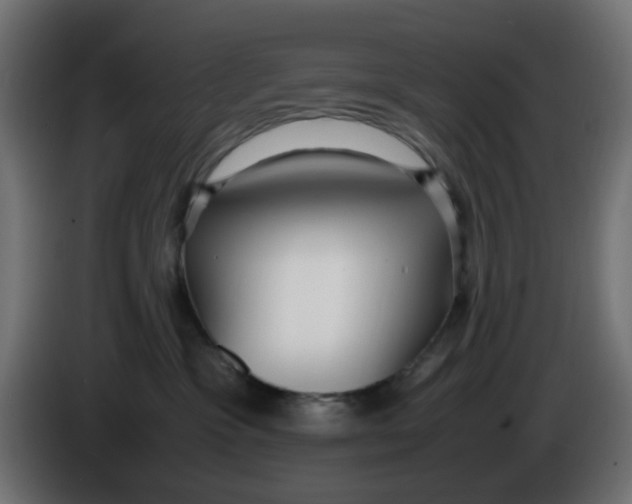 X0000086040333200704131940