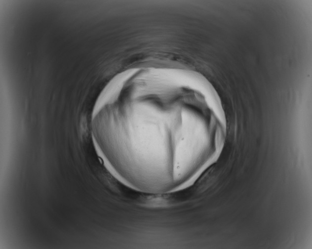 X0000086040335200704131940