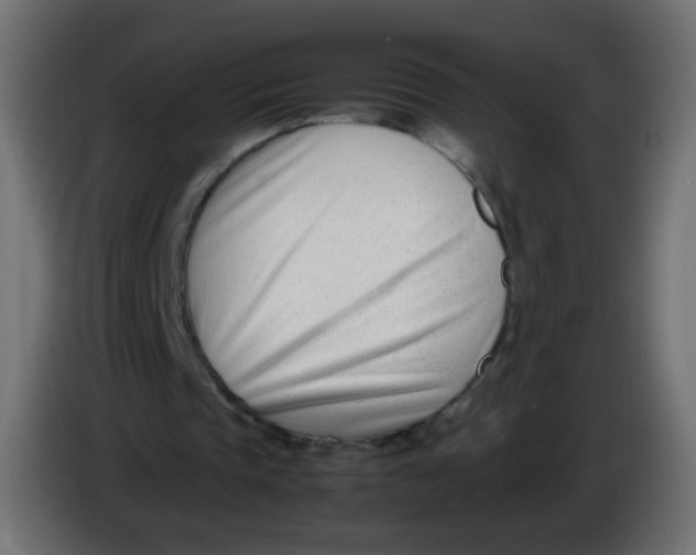 X0000086040337200704131939
