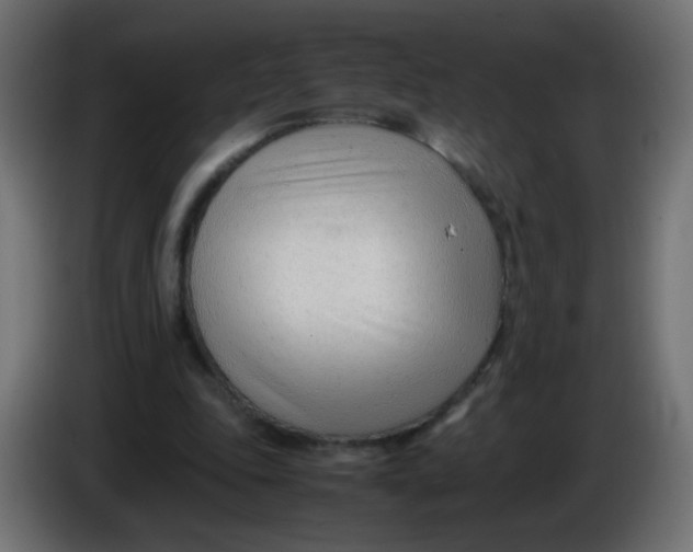 X0000086040343200704131939