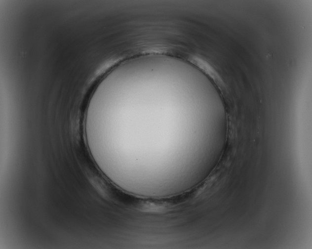X0000086040346200704131939