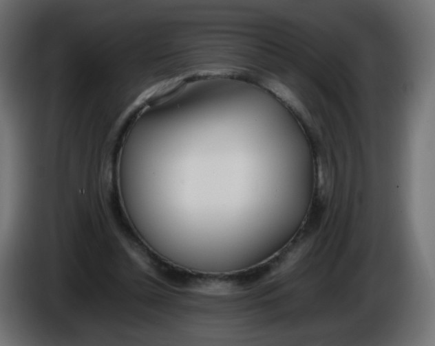 X0000086040348200704131939