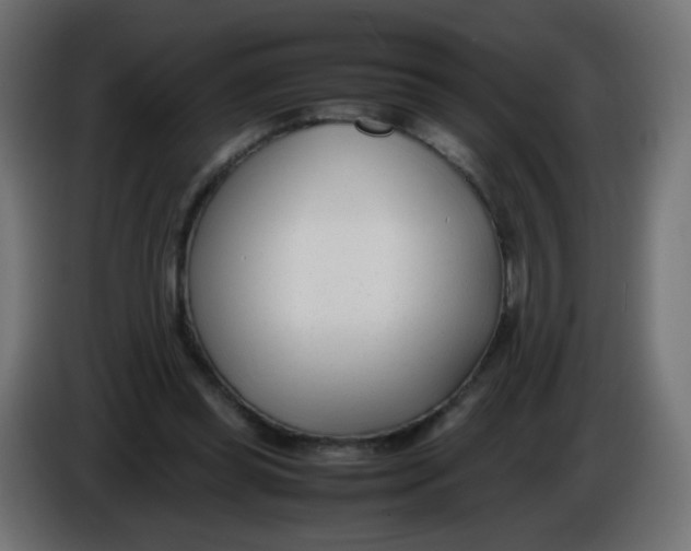 X0000086040349200704131939