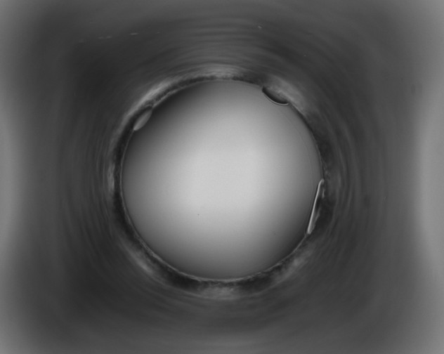 X0000086040350200704131939