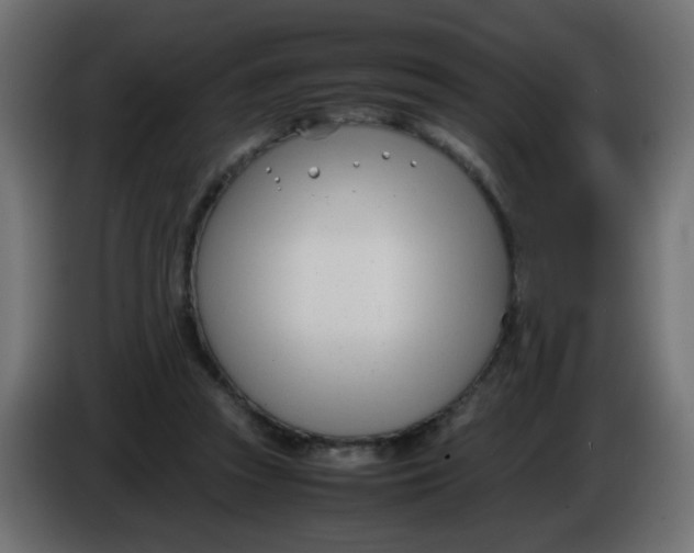 X0000086040353200704131939