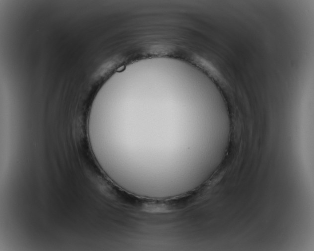 X0000086040354200704131939