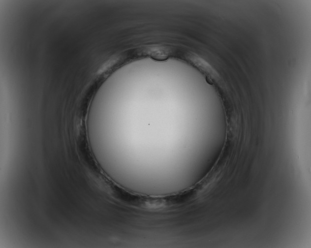 X0000086040355200704131939
