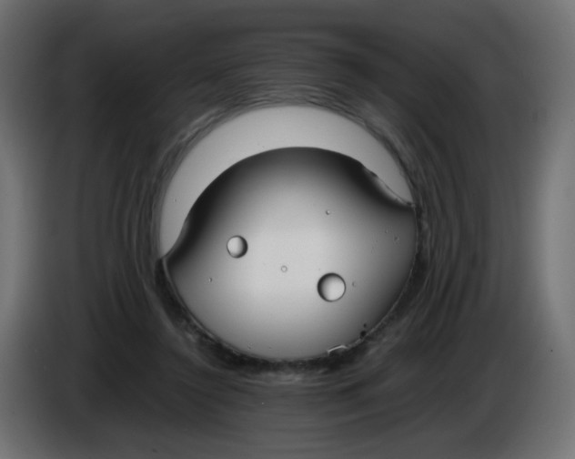X0000086040356200704131939