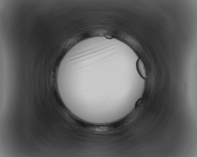 X0000086040361200704131940