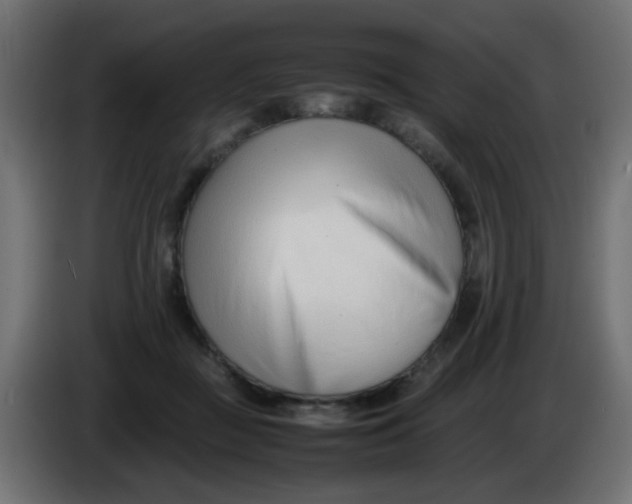 X0000086040363200704131940