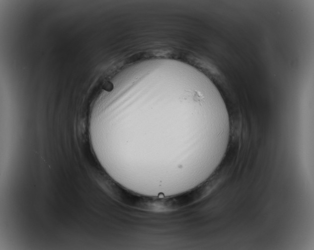 X0000086040365200704131940