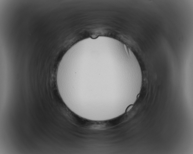 X0000086040369200704131940