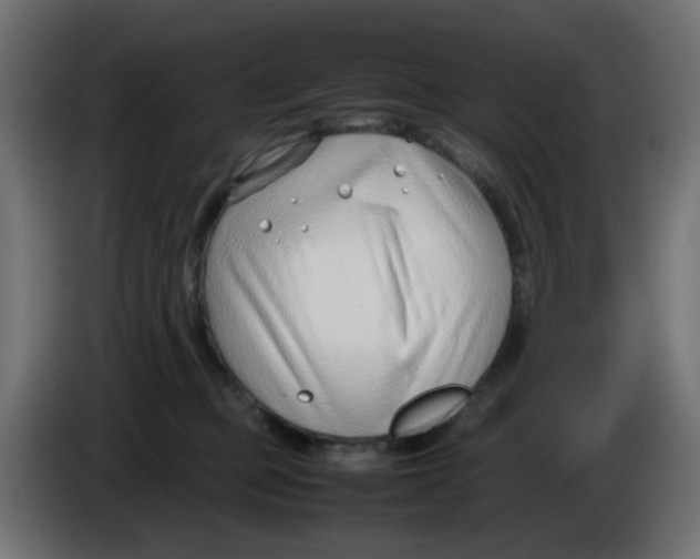 X0000086040373200704131940