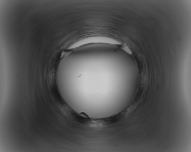 X0000086040376200704131940