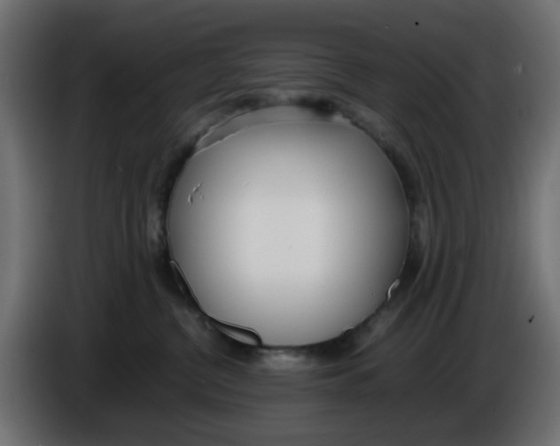 X0000086040380200704131940