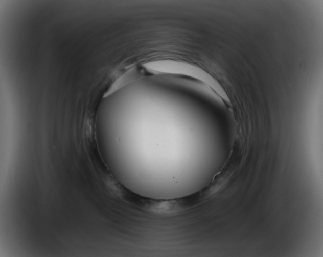 X0000086040382200704131940
