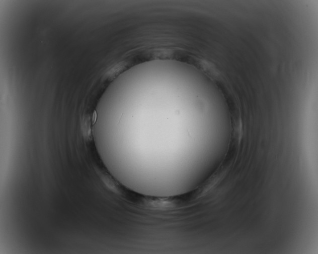 X0000086040383200704131940