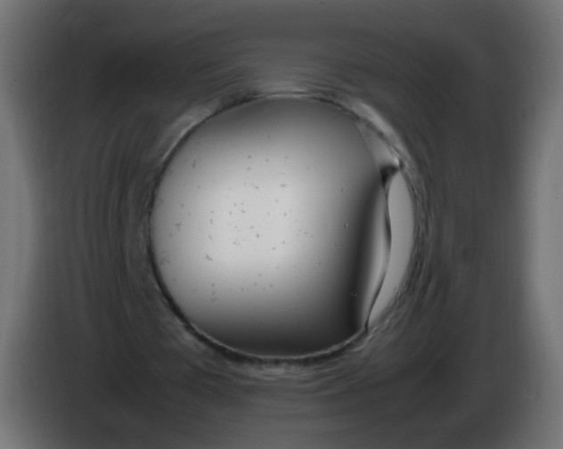 X0000086040385200704131939