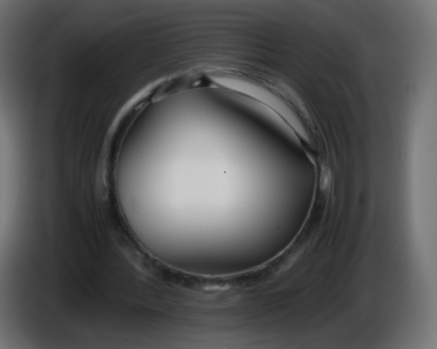 X0000086040388200704131939