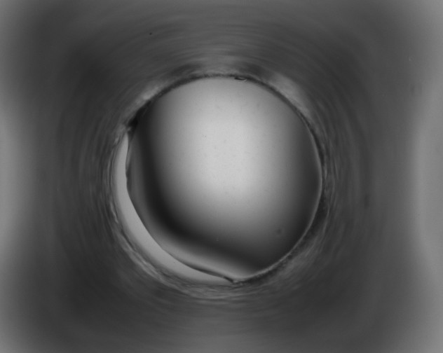 X0000086040389200704131939
