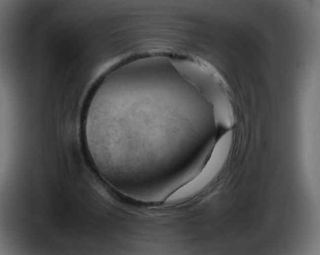 X0000086040391200704131939