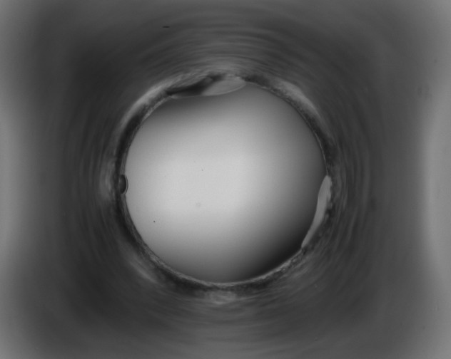 X0000086040392200704131939