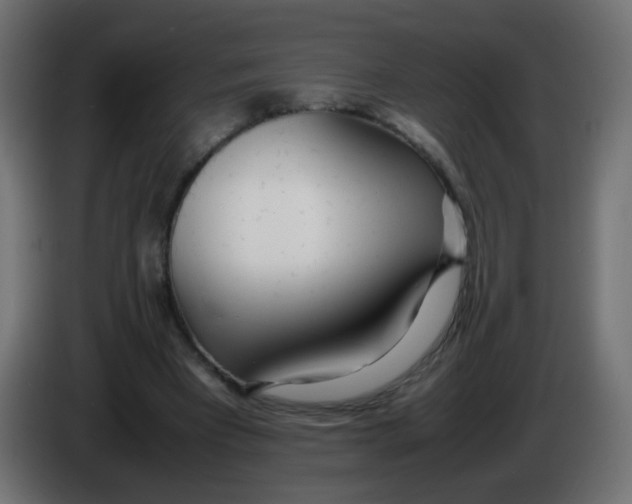 X0000086040393200704131939