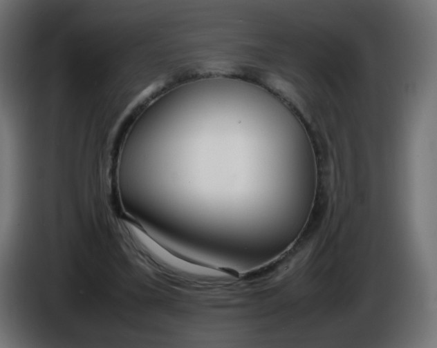 X0000086040395200704131939
