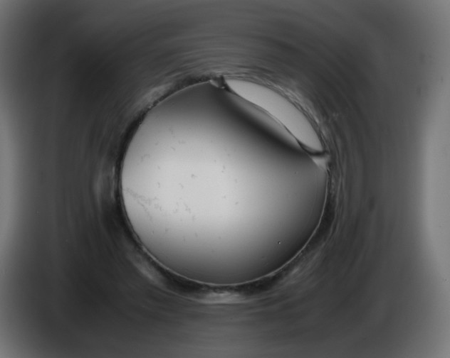 X0000086040397200704131939