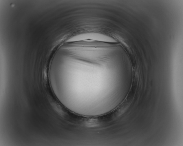 X0000086040398200704131939