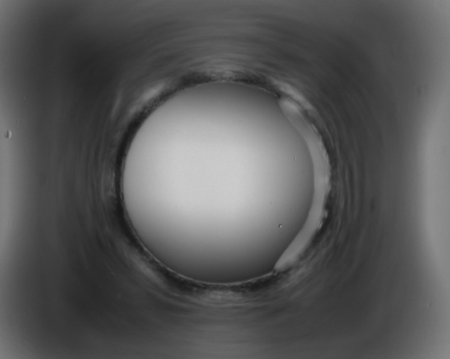 X0000086040399200704131939