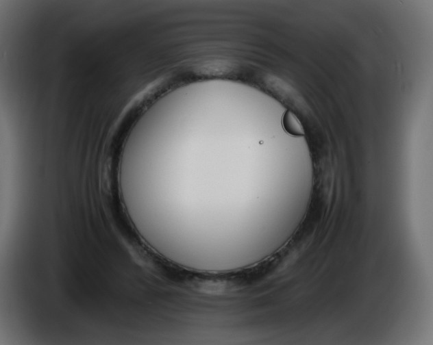 X0000086040400200704131939